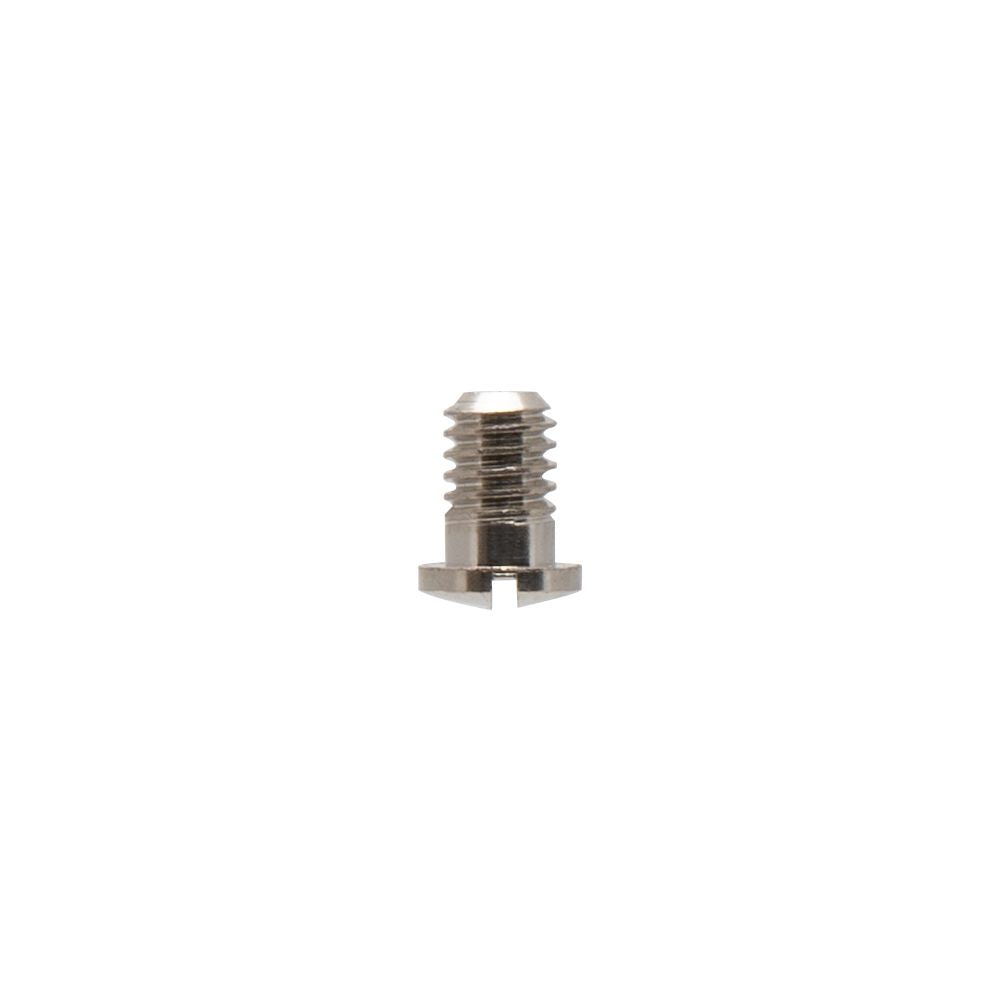 Iwata Main Body Ring Screw for NEO for Iwata: TRN2/TRN1
