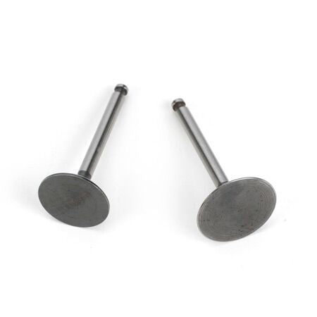 Saito Engines Valve (In&Out) Pair: FG-36: AK,BP