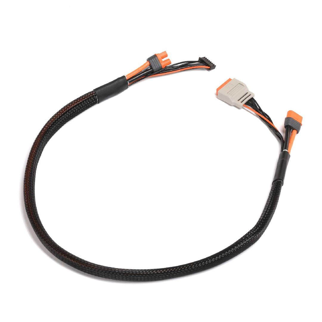 Spektrum Charge lead w/Bal Ext. 24 inch IC3, 2 – 6S