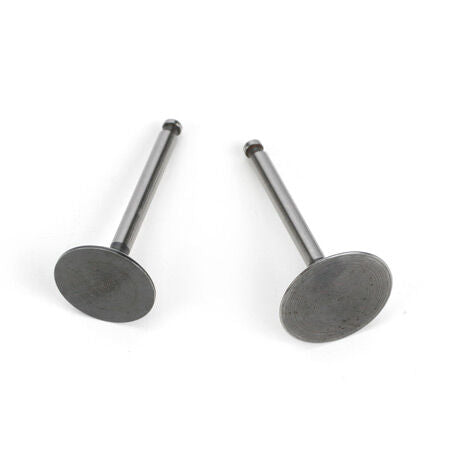 Valve (In & Out) Pair: FG-36: AK BP