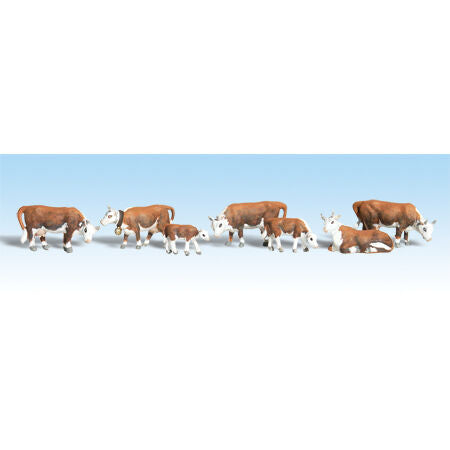 HO Hereford Cows