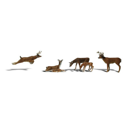 O Deer