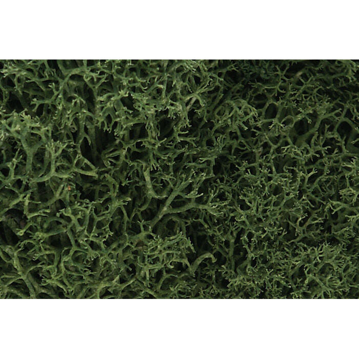 Lichen Bag Medium Green/82 cu. in.