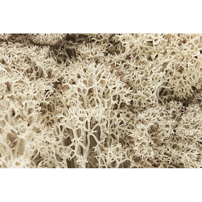 Lichen Bag Natural/82 cu. in.