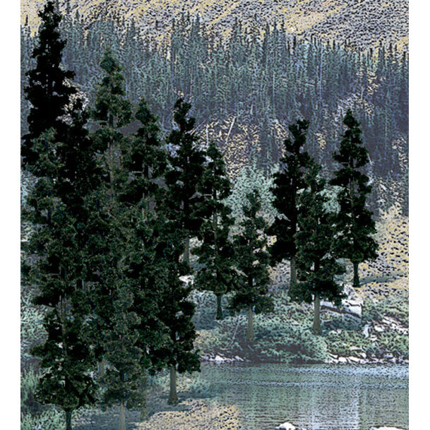 Value Trees, Conifer 4-6" (24)