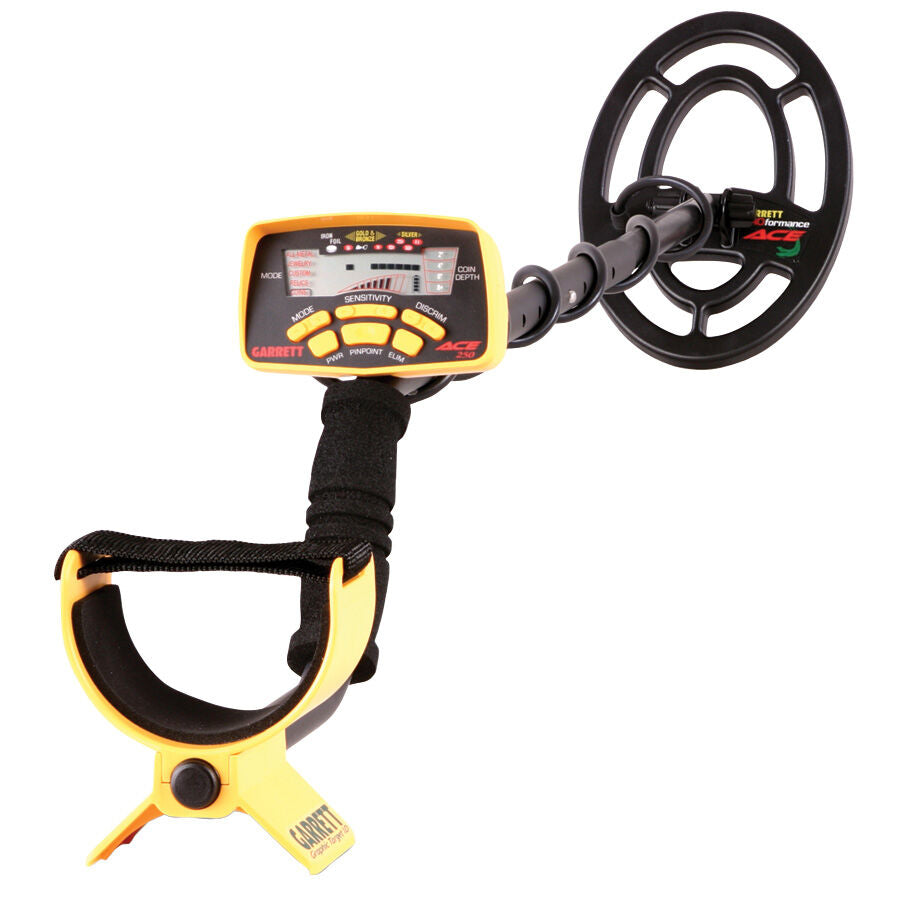 Ace 250 Metal Detector