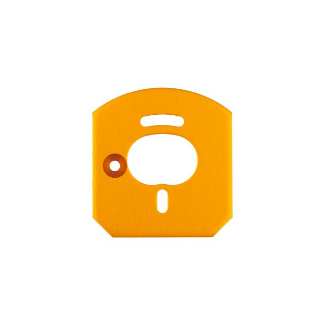 Team Associated 6x6 Motor Mount Plate, Gold