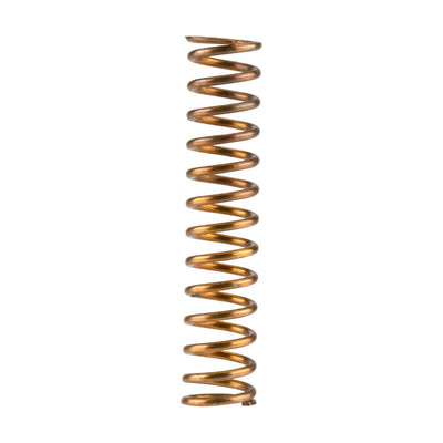 Iwata Air Valve Spring