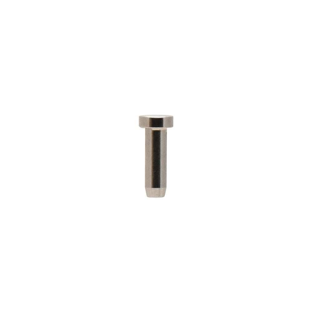 Iwata Valve Piston