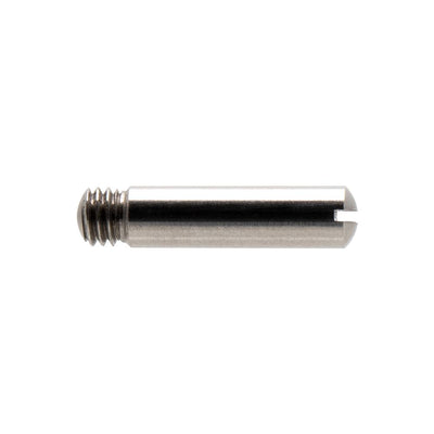 Iwata Trigger Screw