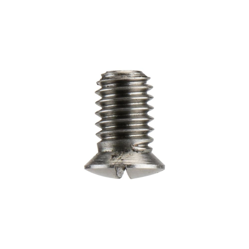 Iwata Main Body Ring Screw