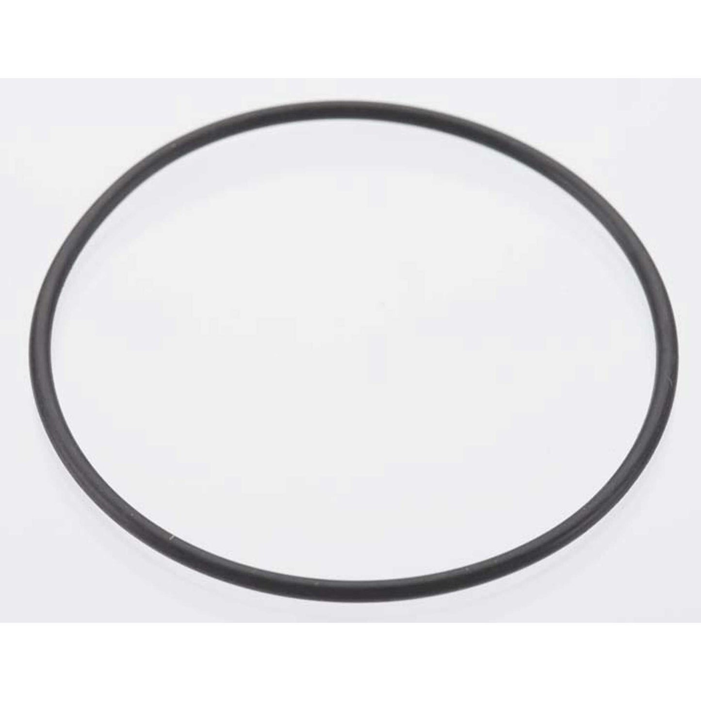 Back Plate O-Ring: DLE-20
