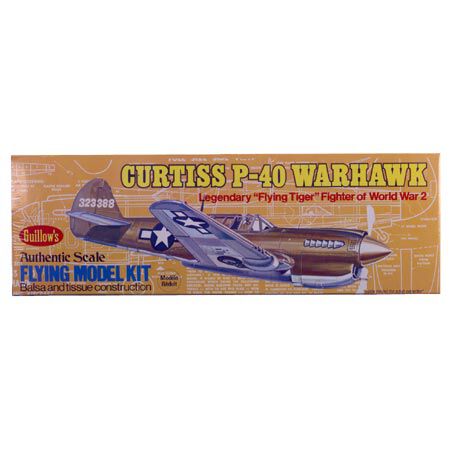 Curtiss P40 Warhawk Kit  16.5"
