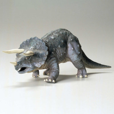 Triceratops Eurycephalus