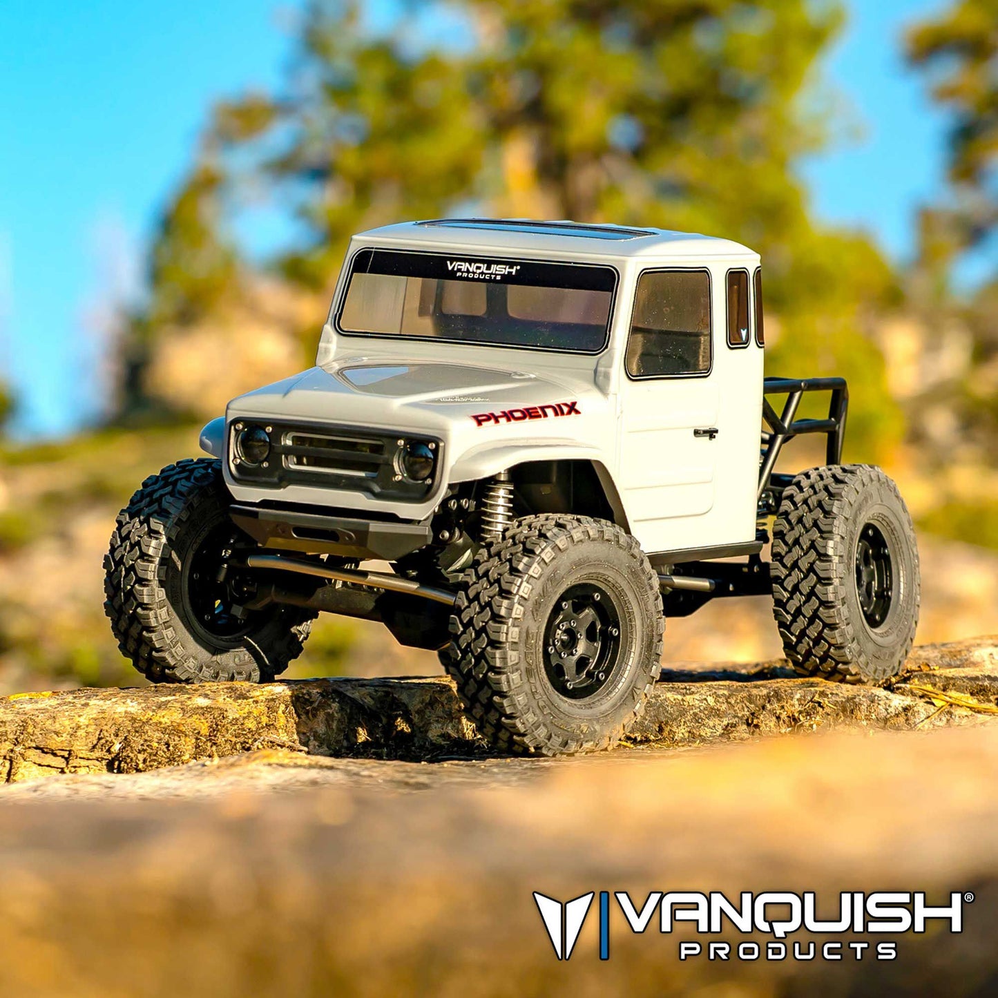 1/10 VS4-10 Phoenix Rock Crawler RTR  Grey