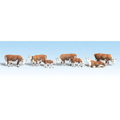HO Hereford Cows