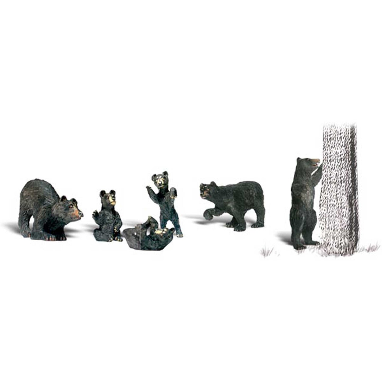 HO Black Bears