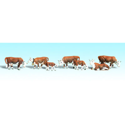 N Hereford Cows