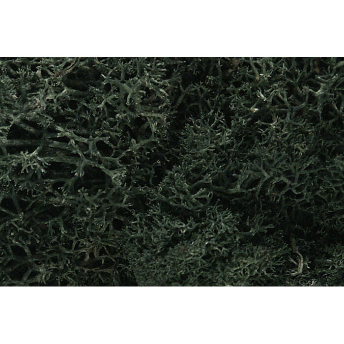 Lichen Bag Dark Green/82 cu. in.