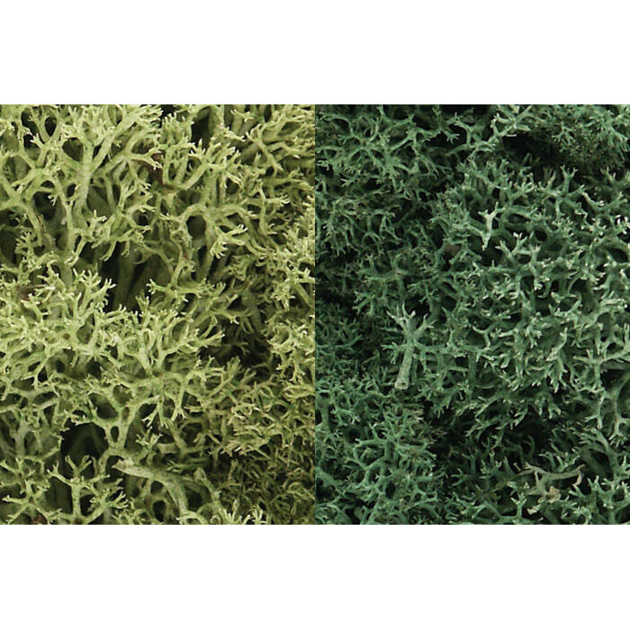 Lichen Bag Light Green Mix/165 cu. in.