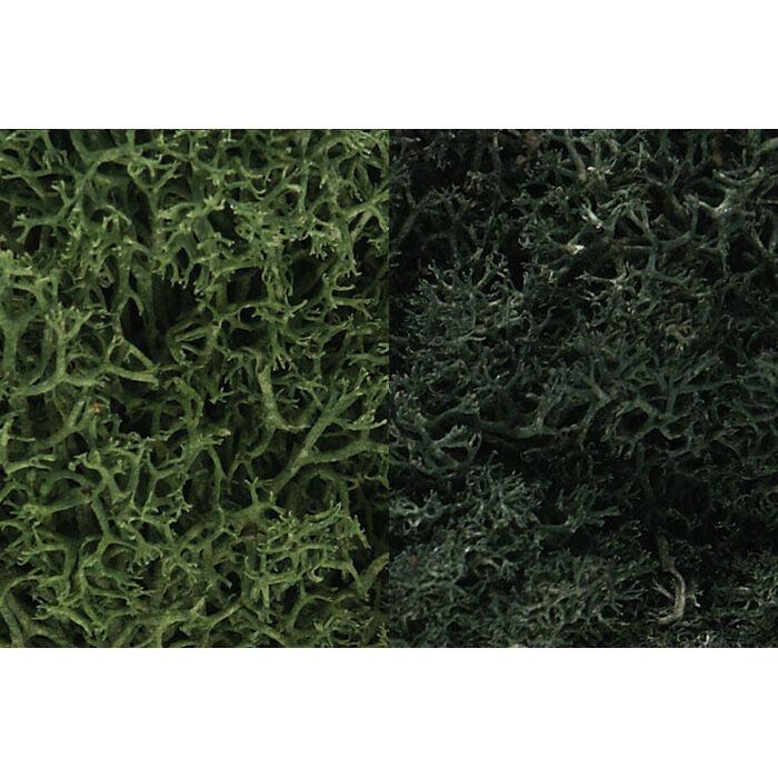 Lichen Bag Dark Green Mix/165 cu. in.