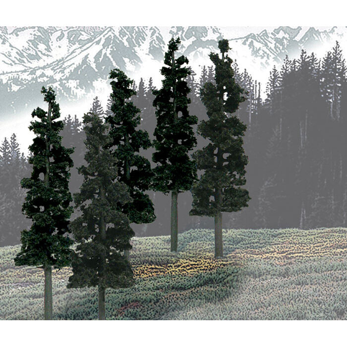 Value Trees, Conifer 6-8" (12)