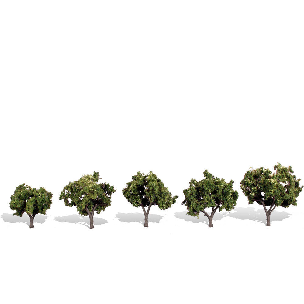 Classics Tree, Sun Kissed 1.25-2" (5)