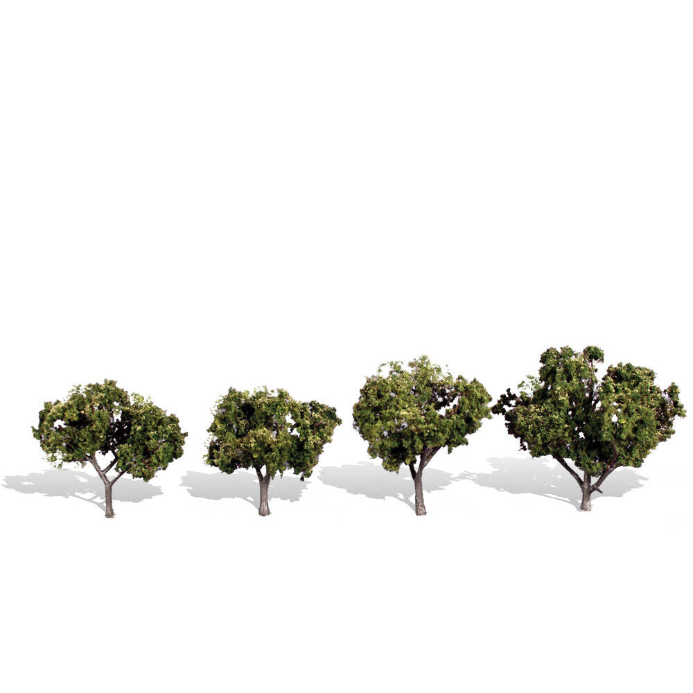 Classics Tree, Sun Kissed 2-3" (4)
